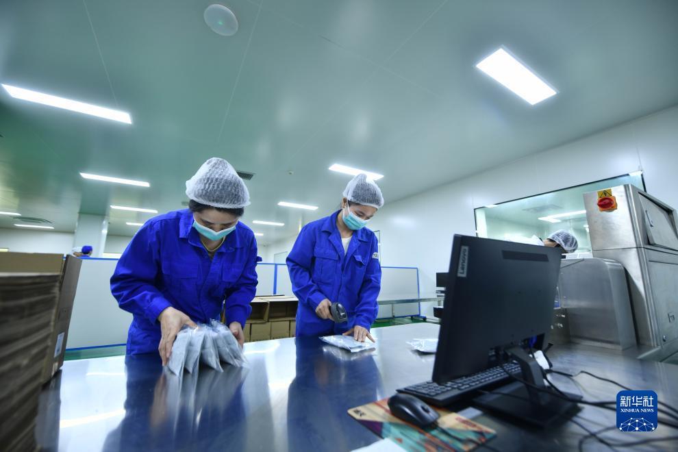奔驰宝马游戏网址是www